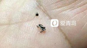 多个大品牌奶粉被曝光,除了恶心更担心宝宝安全