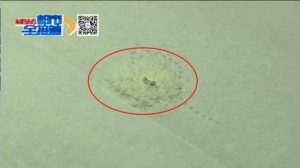 多个大品牌奶粉被曝光,除了恶心更担心宝宝安全