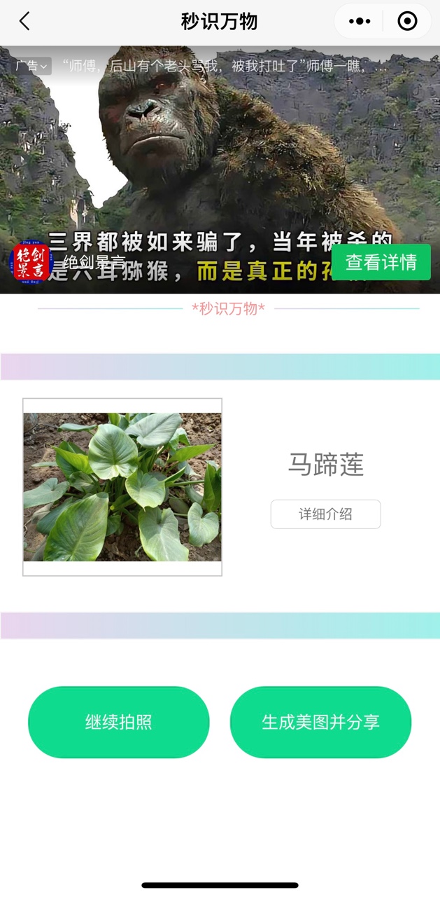 家长最喜爱的识花神器——秒识万物小程序