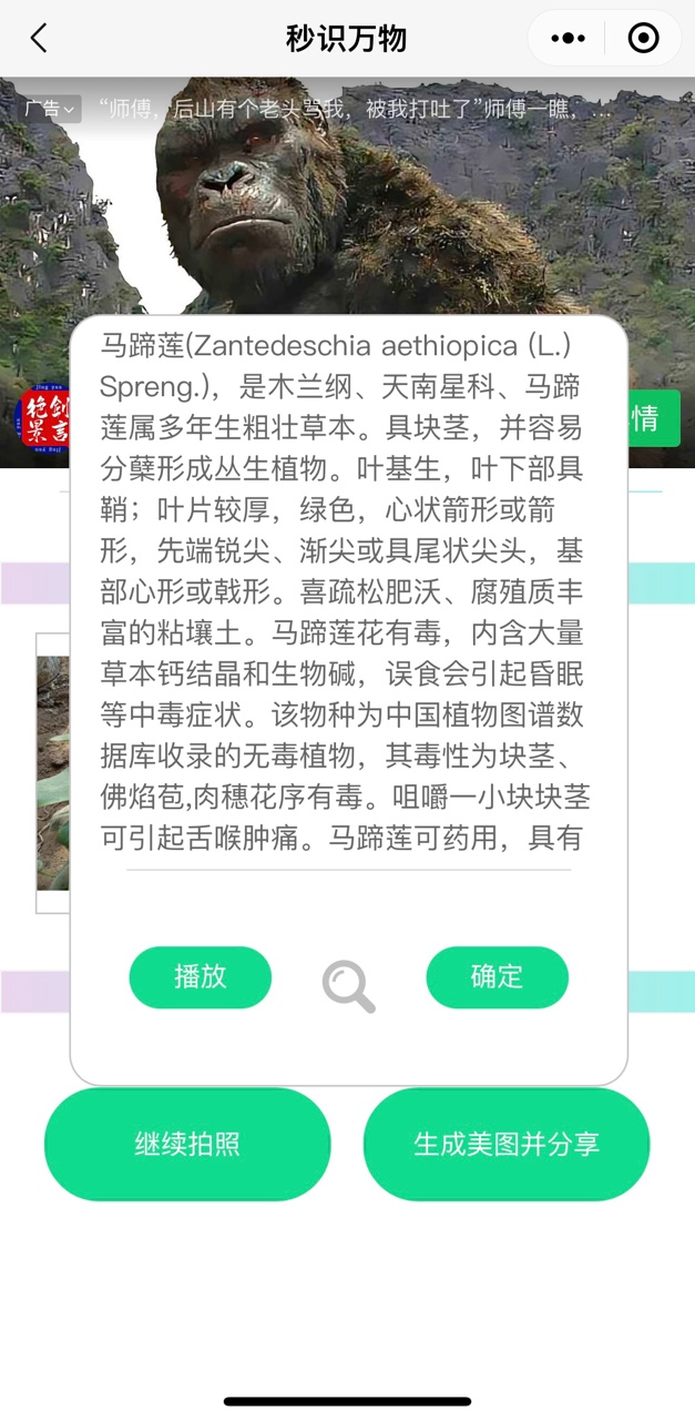 家长最喜爱的识花神器——秒识万物小程序